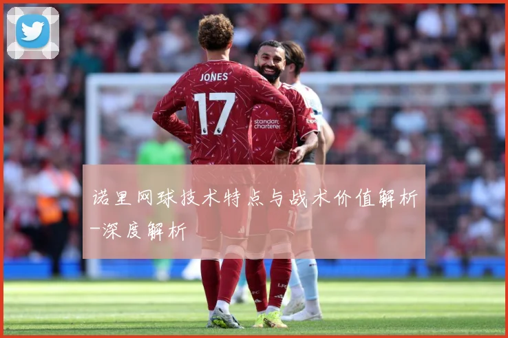 诺里网球技术特点与战术价值解析-深度解析