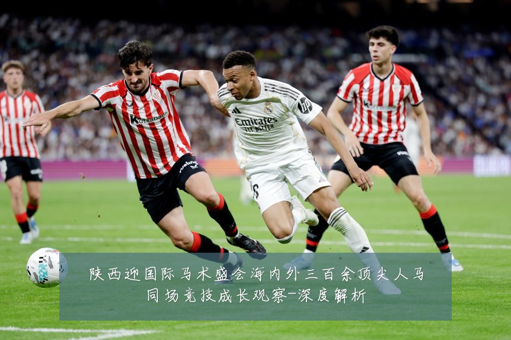 陕西迎国际马术盛会海内外三百余顶尖人马同场竞技成长观察-深度解析